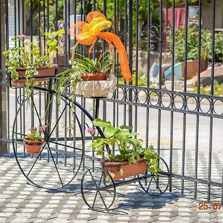 Guest House Meridi Priseltsi المظهر الخارجي الصورة